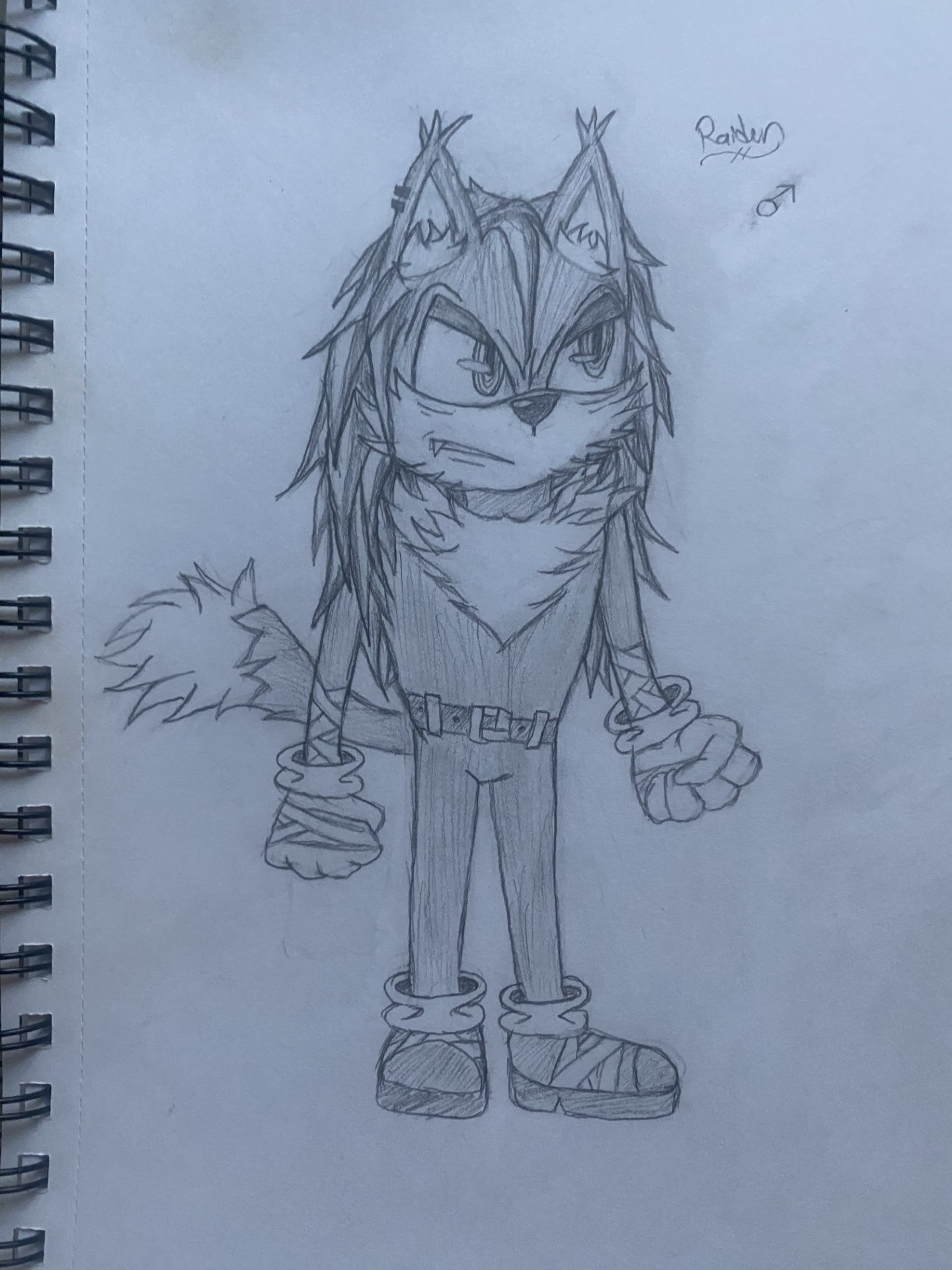 A drawing of a wolf in the Sonic artstyle