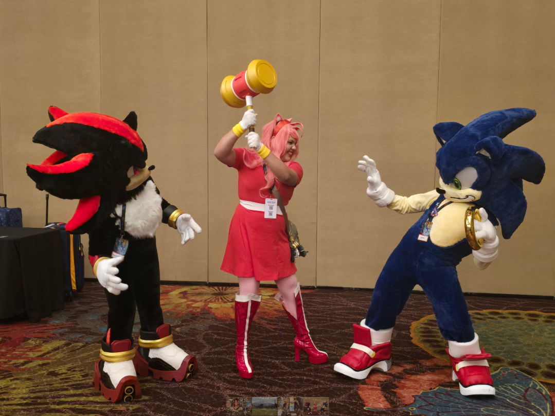 Me cosplayed as Amy Rose the Hedgehog from Sonic the Hedgehog