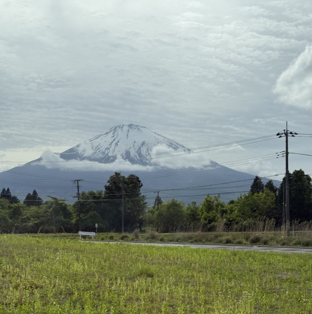 Mt. Fuji